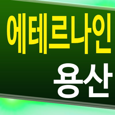  에테르나인 용산 오피스텔 용산역 투룸 분양가 계약조건 모델하우스 공급정보