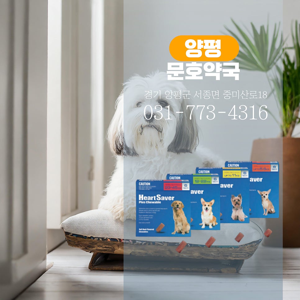 문호약국 사진 5