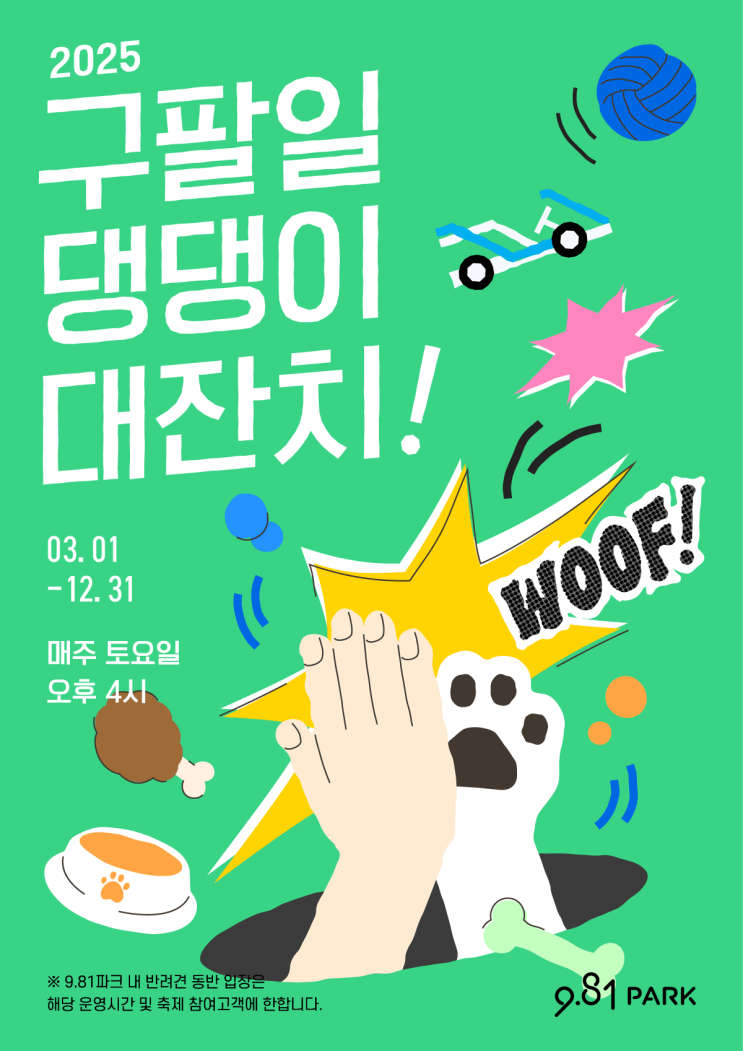  제주도에서 열리는 애견 축제! 구팔일 댕댕이 대잔치