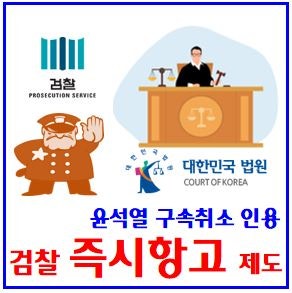 검찰 즉시항고란 (ft. 윤석열 석방, 구속취소) : 뜻, 검사석방지휘, 인용, 포기, 처리기간, 위헌....