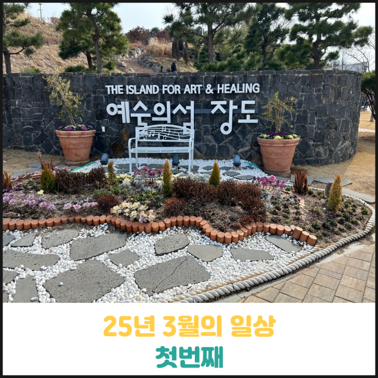 25년 3월의 일상 첫번째 25년 3월의 일상 첫번째