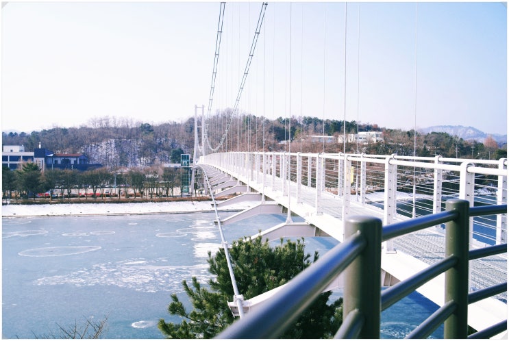  춘천사이로248_ 로컬들이 사랑하는 공지천 산책길 의암호 수변 전망 출렁다리 주차 정보