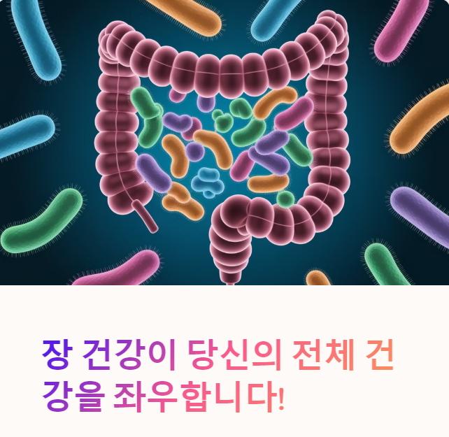  장 건강에 좋은 음식!정보!