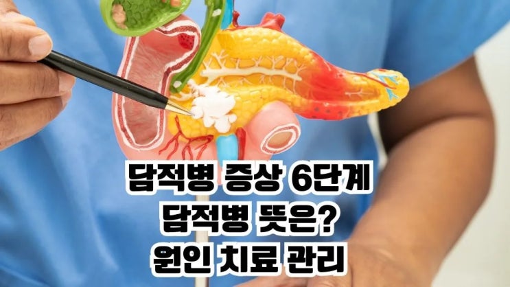  담적병 증상 6단계 담적병 뜻 원인 치료 관리