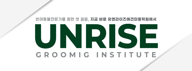 사진 5