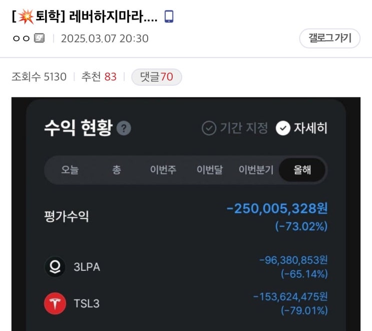 테슬라, 팔란티어 레버리지 투자의 결말 테슬라, 팔란티어 레버리지 투자의 결말