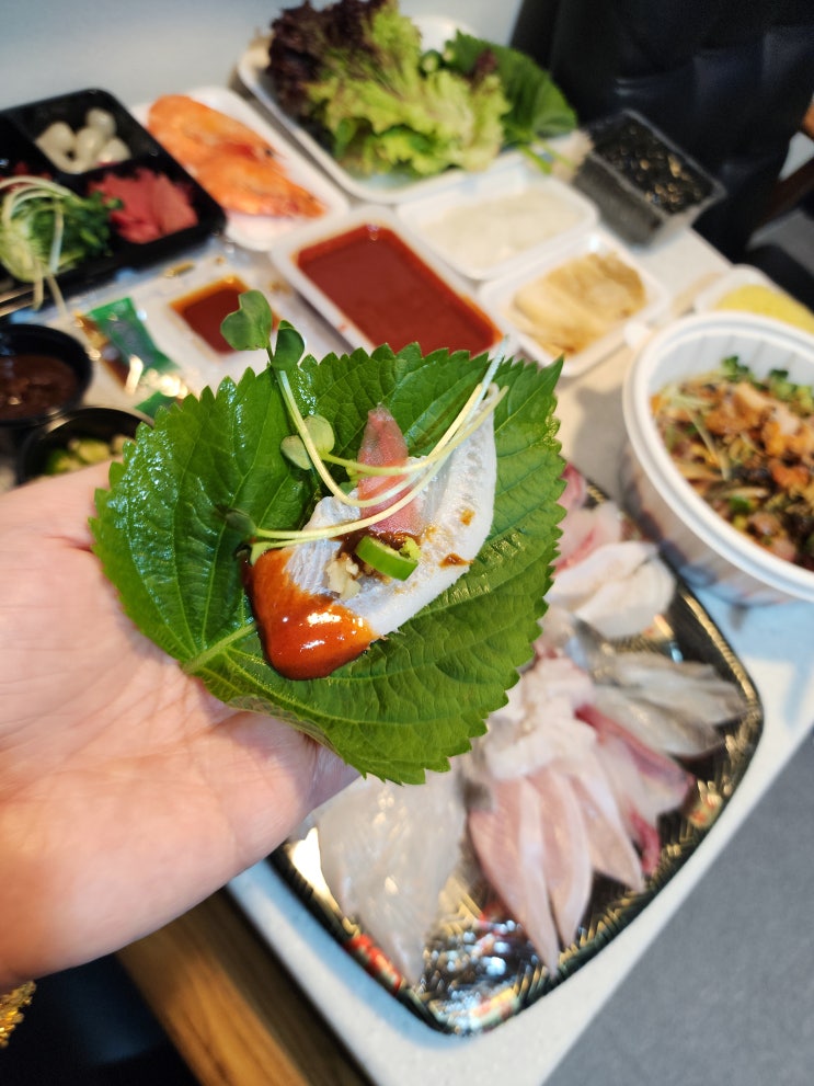  속초 회포장 맛집 물회맛집 속초 회배달 되는 회가