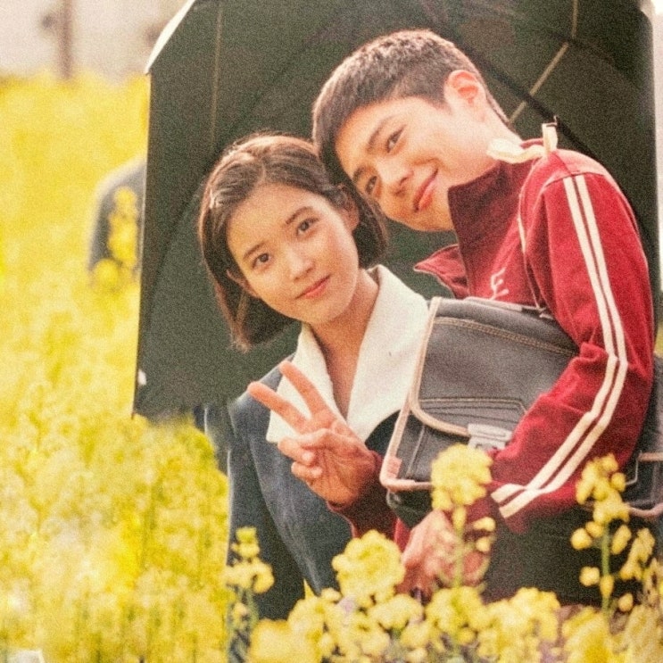 폭삭 <b>속았수다</b> <b>아이유 박보검 폭싹</b> 흥했다 뜻 몇부작 5화 공개... 
