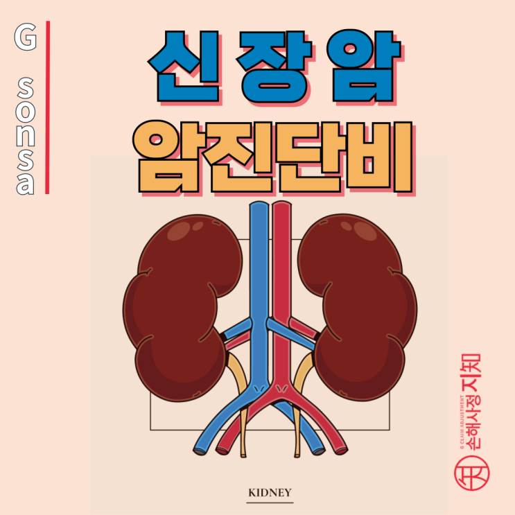  신장암 진단, 보험금 5배 더 받는 비밀 - 암진단비 다 보상받기 - [비뇨기계암, BAtDA]
