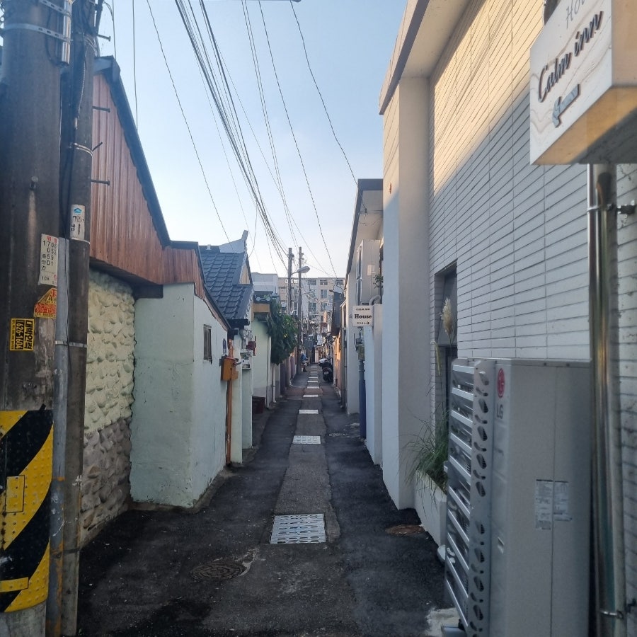 캄인 사진 4
