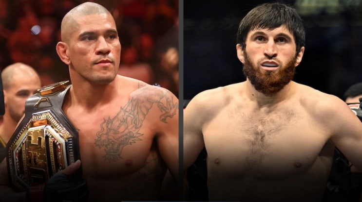  알렉스 페레이라 vs 마고메드 안칼라예프, UFC 313 메인이벤트 경기 결과