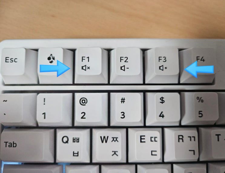  체리 키보드 F1, F2, F3 키 게임 설정 알트탭 안 눌릴 때 방법