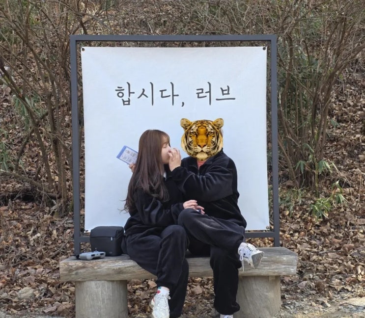  안동과 봉화에서의 힐링 여행 