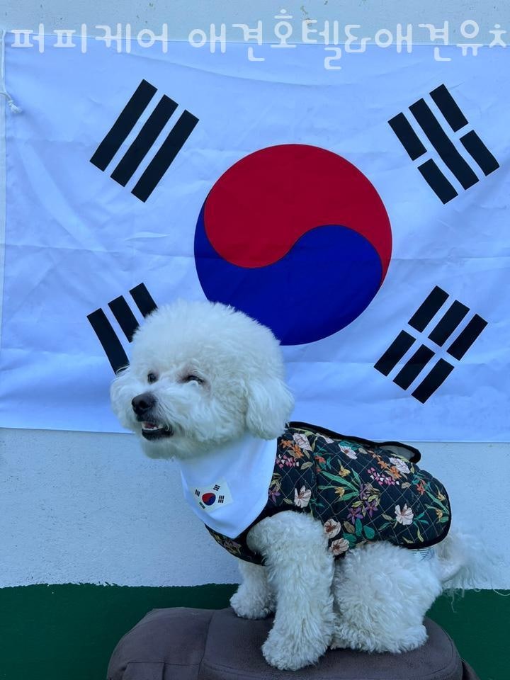사진 3