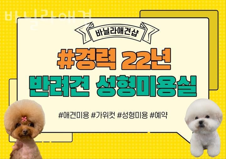 사진 3