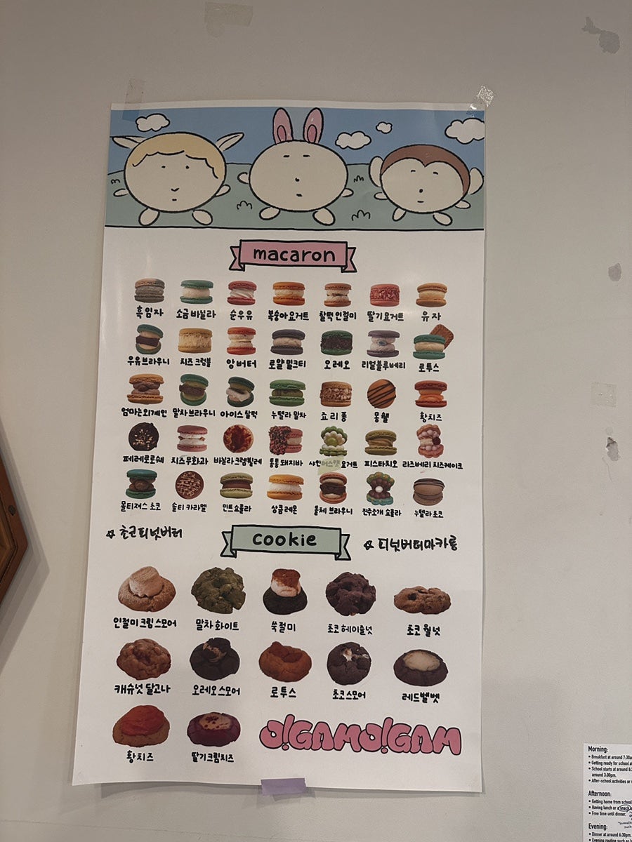 오감마카롱 사진 4