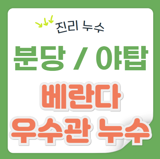  분당 우수관 누수, 야탑동 아파트 베란다 천장 방수공사 비용처리 문제