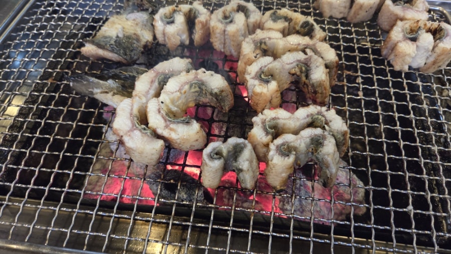 힘센장어 사진 1