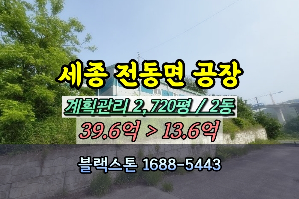  세종시 전동면 공장 경매 3천평 [2024타경2913]