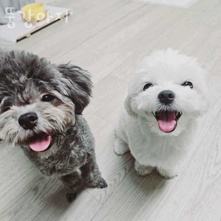 사진 2
