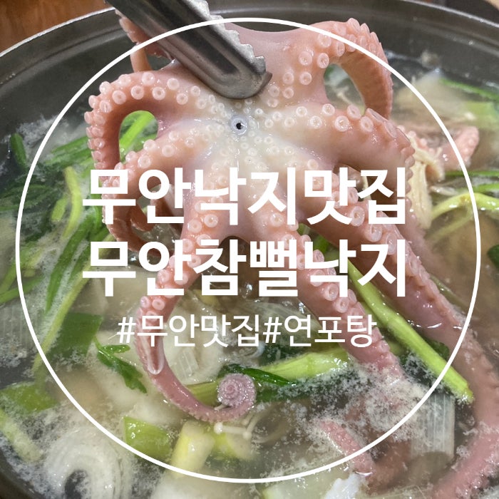  (전남무안맛집) 무안낙지맛집 추천하는 연포탕 잘하는 집, 무안참뻘낙지