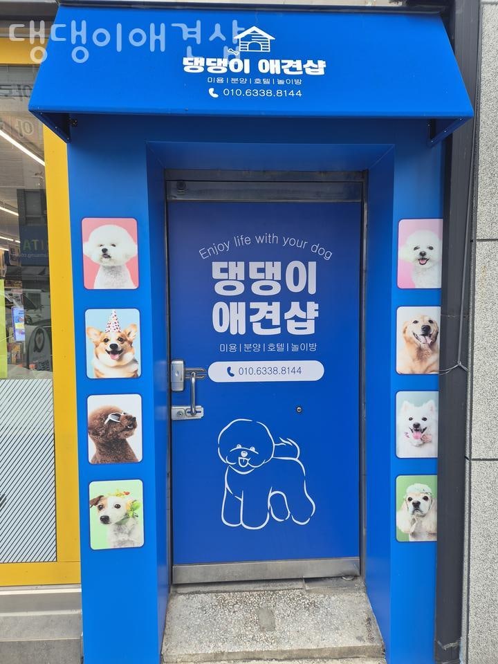 댕댕이애견샵