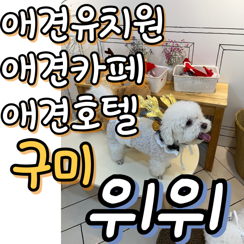 사진 2