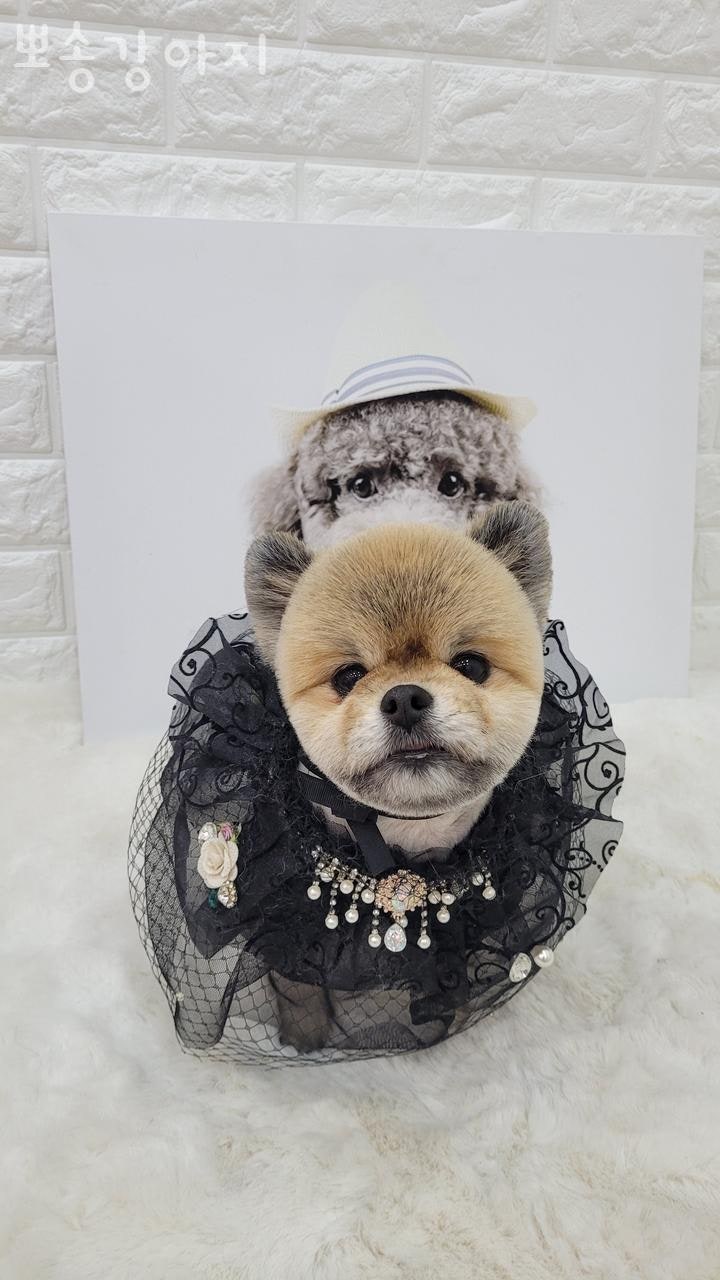 사진 4