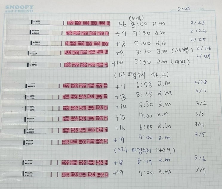  시험관 1차 이식 후 | 4일배양 | 11일차~17일차 증상 | 2차 피검사