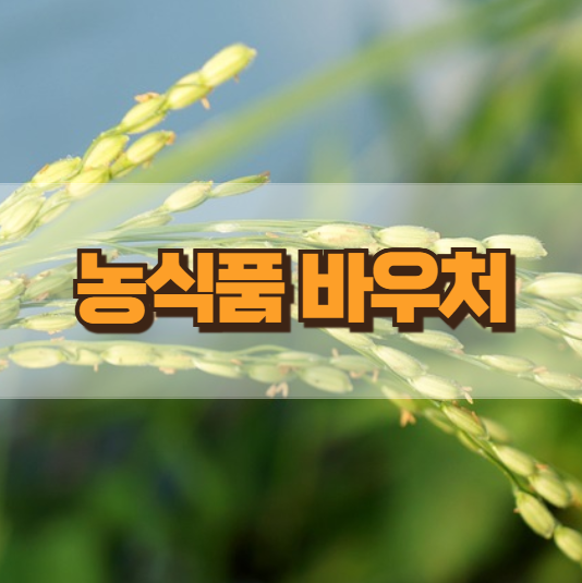 2025년 농식품 바우처 신청 사용처 누리집에서