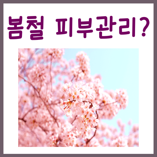 봄철 피부관리? 모르면 안 되는 '3가지' 방법