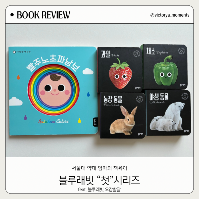 블루래빗 오감발달 첫시리즈 색인지 사진인지