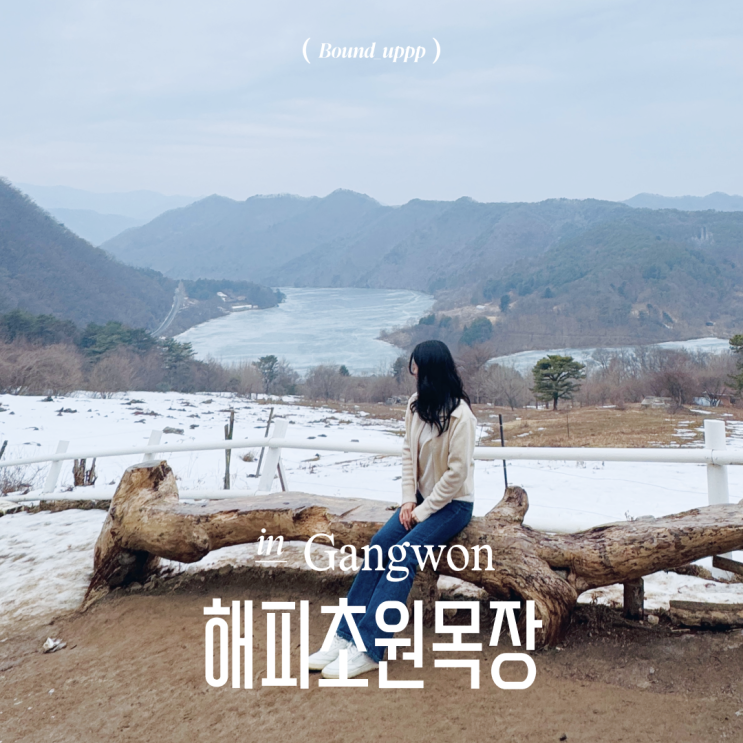  춘천 해피초원목장 3월 비오는날 가면 더 좋은 감성 여행 방문후기