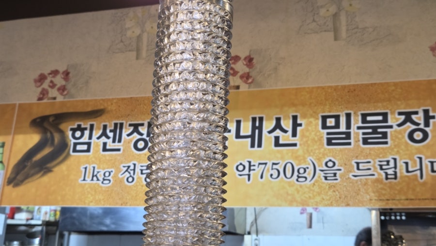 힘센장어 사진 4