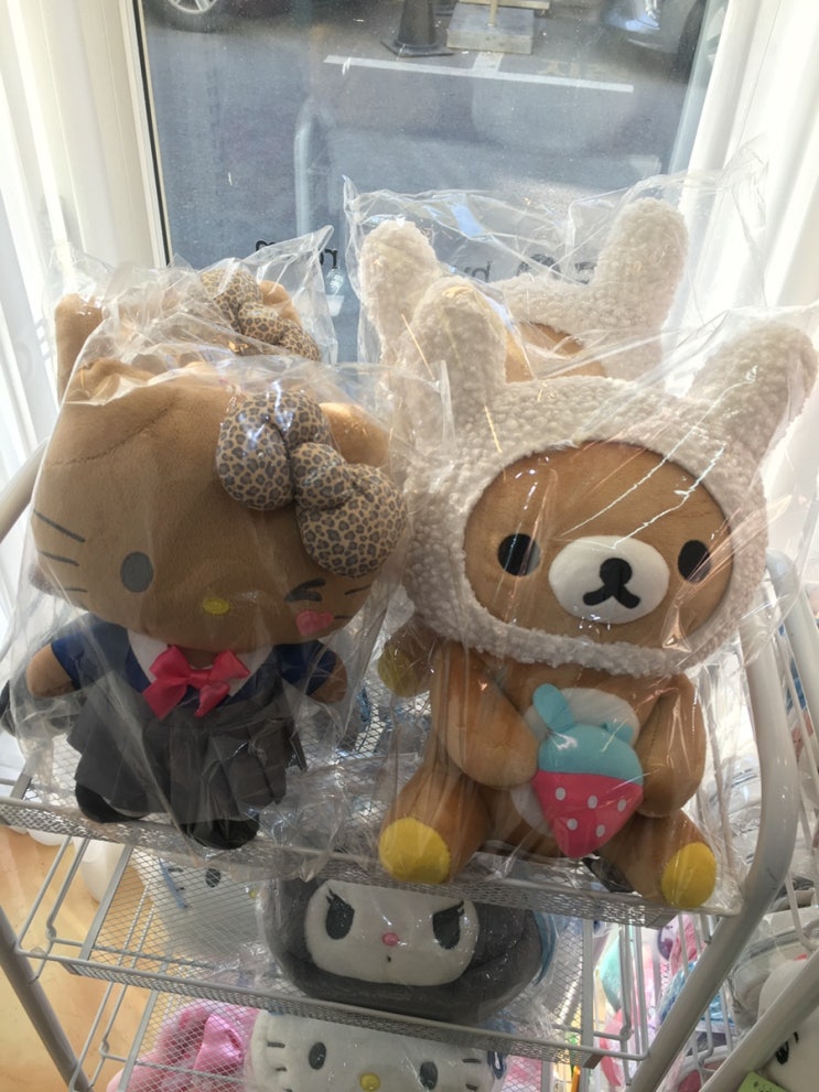 단풍나무가고사하므로