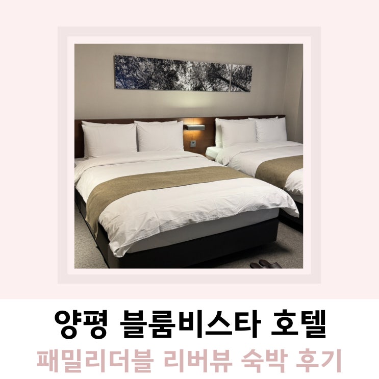 양평 블룸비스타 호텔 패밀리더블 리버뷰 양평 블룸비스타 호텔 패밀리더블 리버뷰