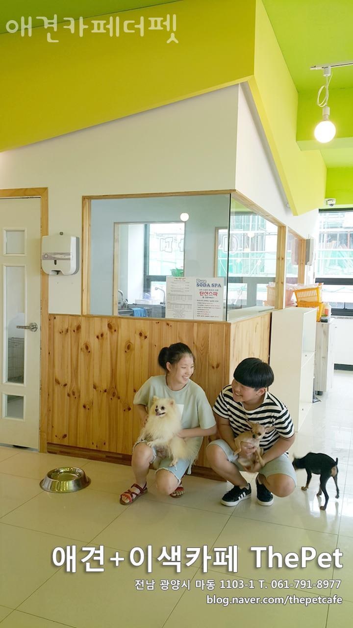 사진 4