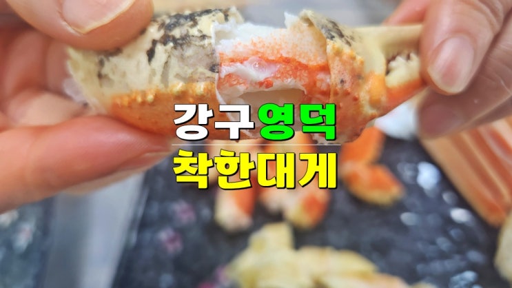 경북 강구항 영덕대게맛집 가격 · 착한대게 맛있는 리뷰 경북 강구항 영덕대게맛집 가격 · 착한대게 맛있는 리뷰