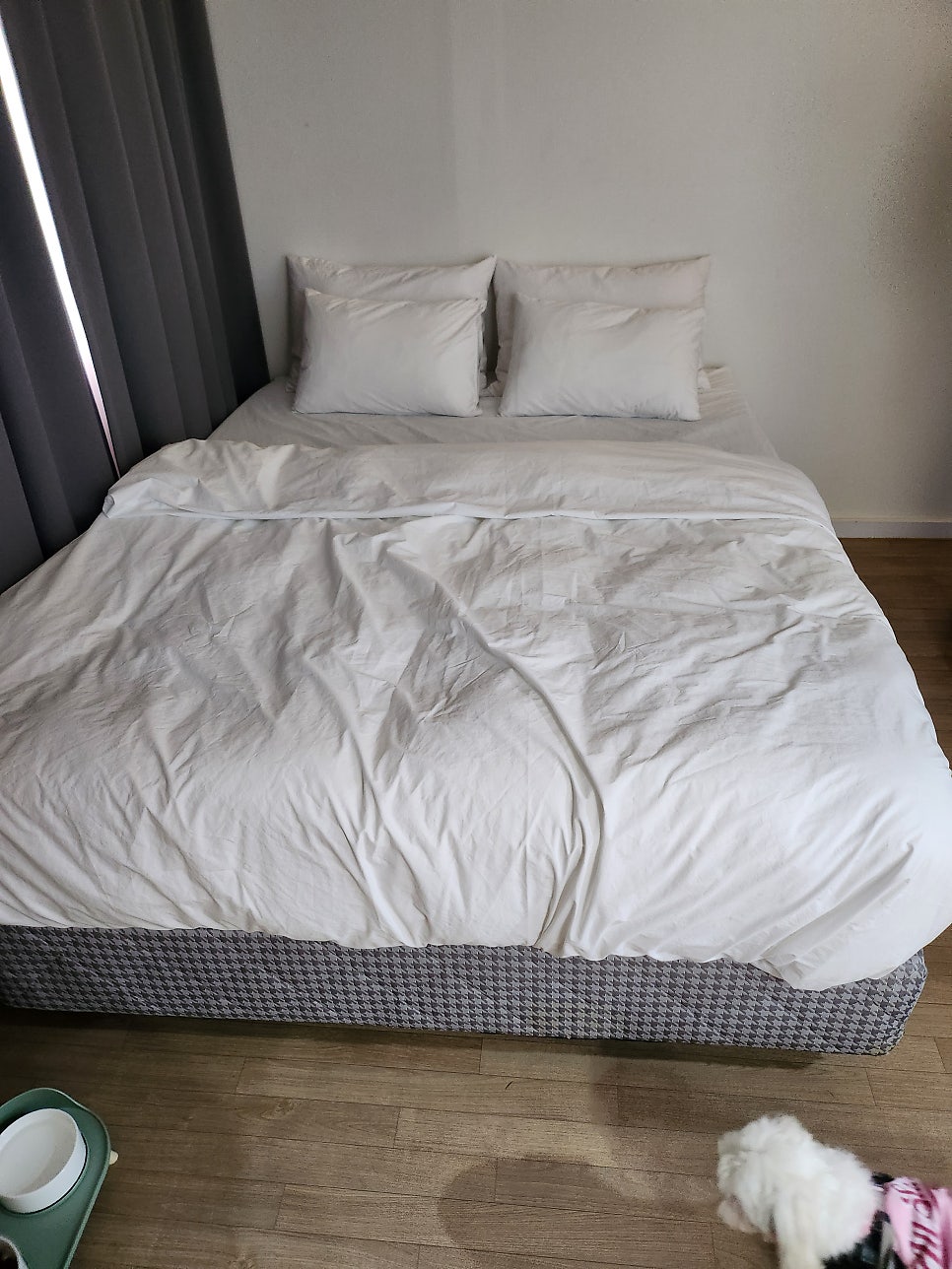 꼬망세펜션 사진 6