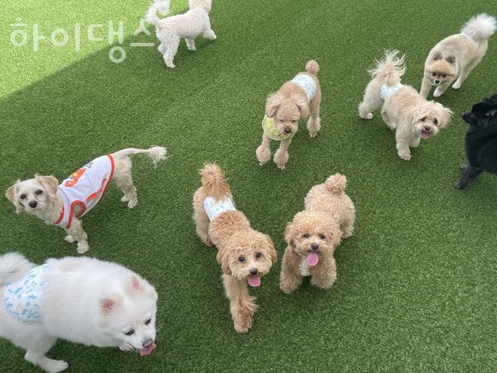 사진 4