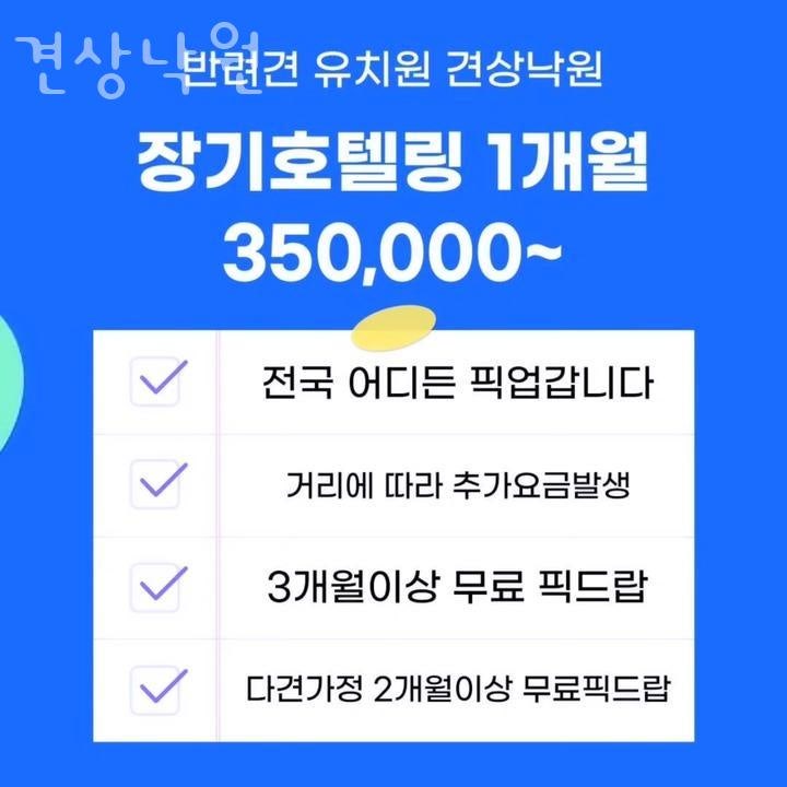 사진 4