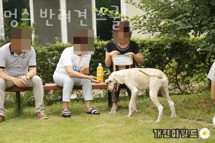 사진 2
