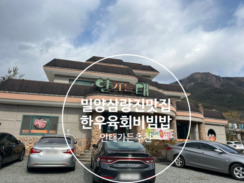 사진 5
