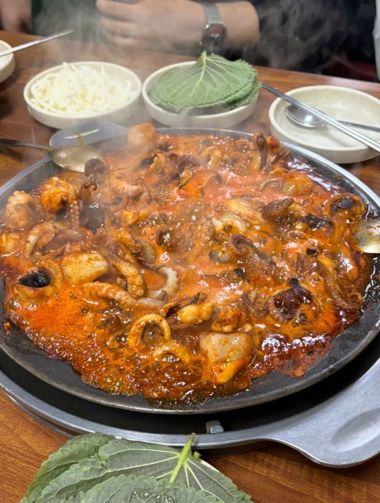 제기동 맛집 나정순할매쭈꾸미 2호점 본점 비교 솔직 후기, 주차 정보