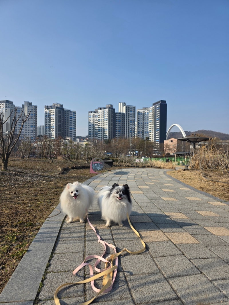 사진 3