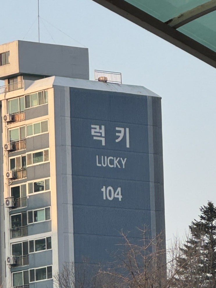  내 20살의 외장하드 호랑이 친구의 결혼식에 간 날