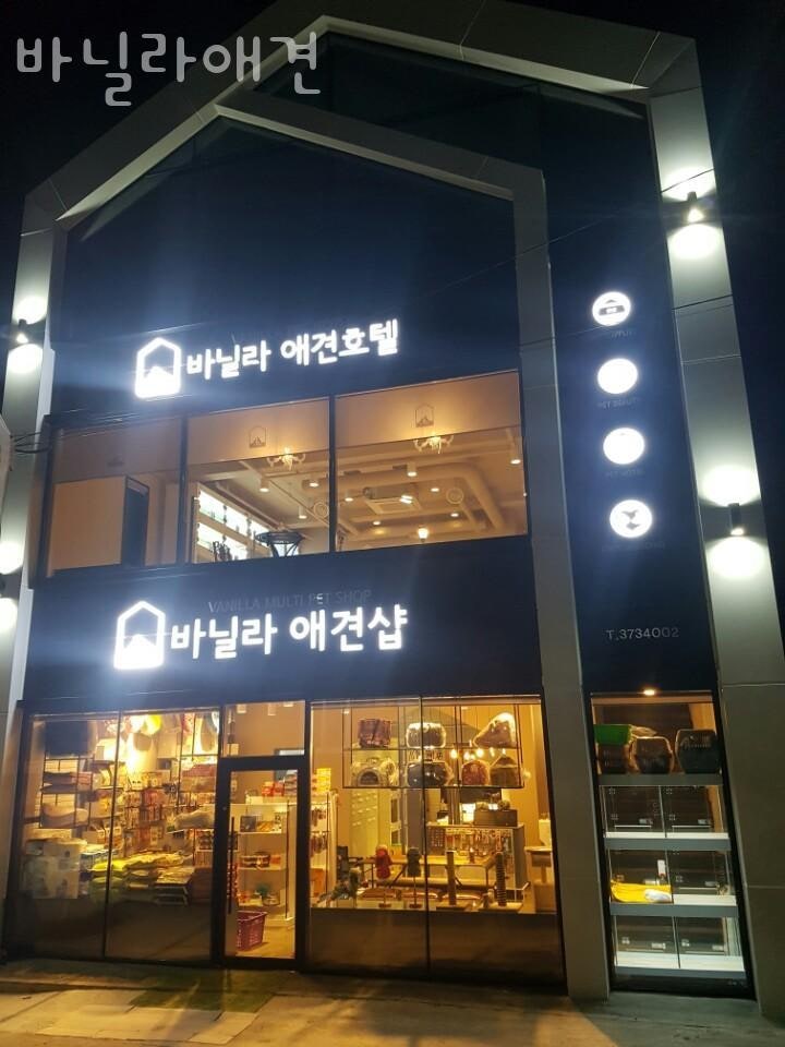 사진 2