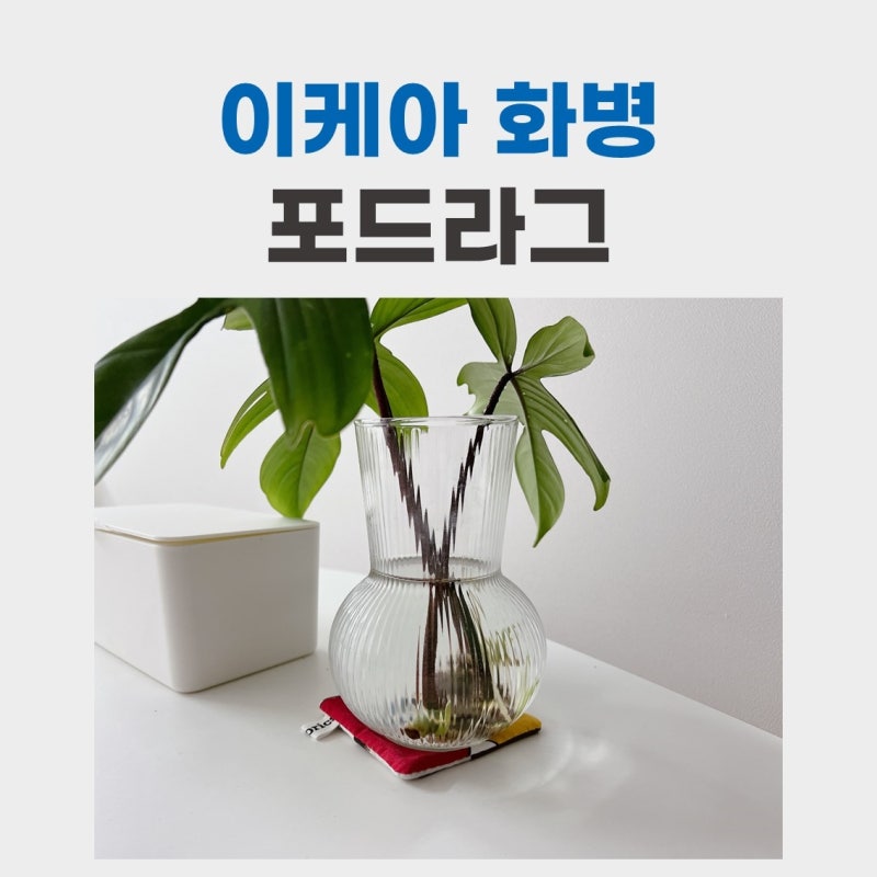이케아 화병 포드라그 유리화병 인테리어