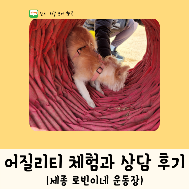 사진 4