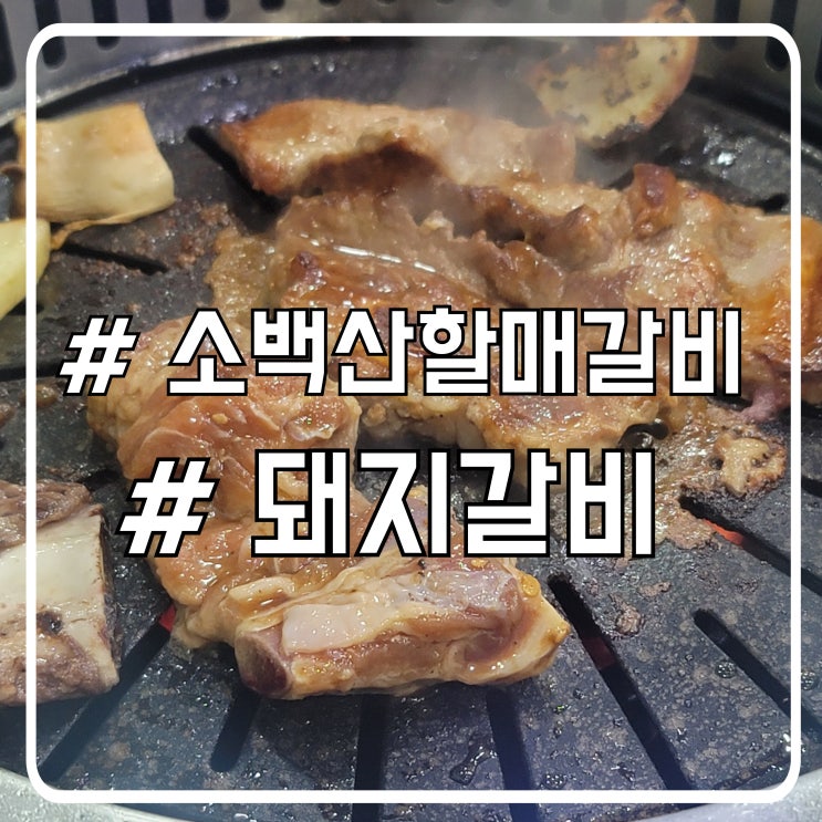  충북 제천 갈비 맛집 양념맛이 강한 소백산할매갈비